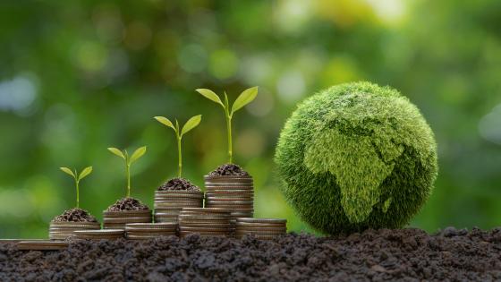 Piles of coins under green shoots next to green globe